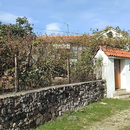 House In Leskovik