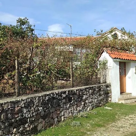 House In * Leskovik