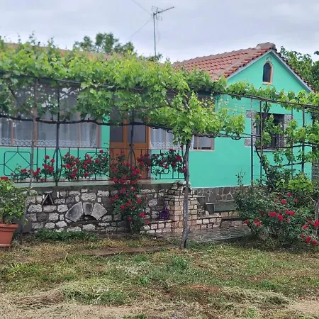 House In Leskovik