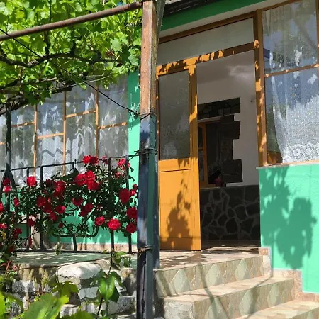House In Nyaraló Leskovik