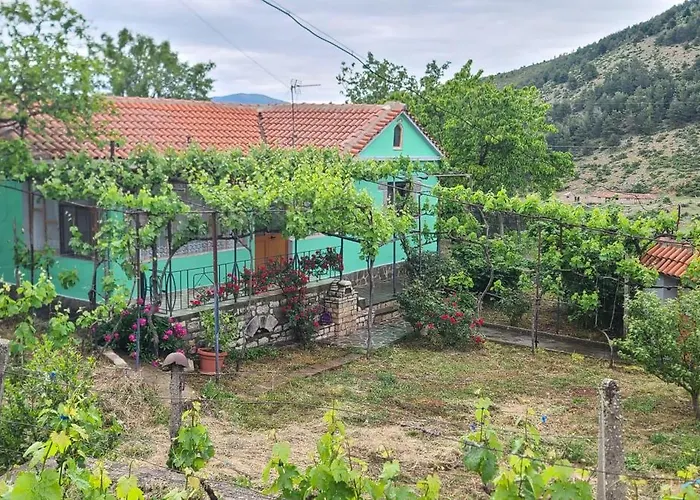 House In Casa vacanze