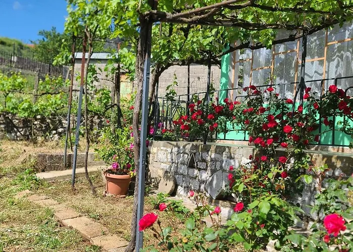 House In Casa vacanze